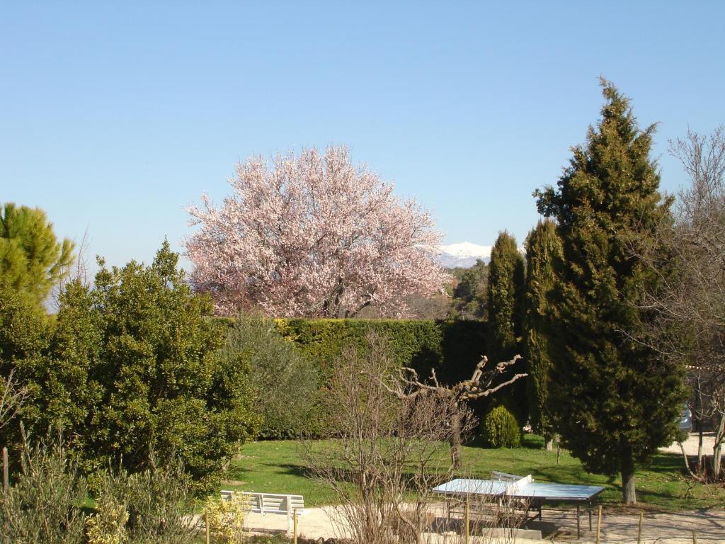 Domaine De La Grange Neuve Ξενοδοχείο La Roque-sur-Pernes Εξωτερικό φωτογραφία